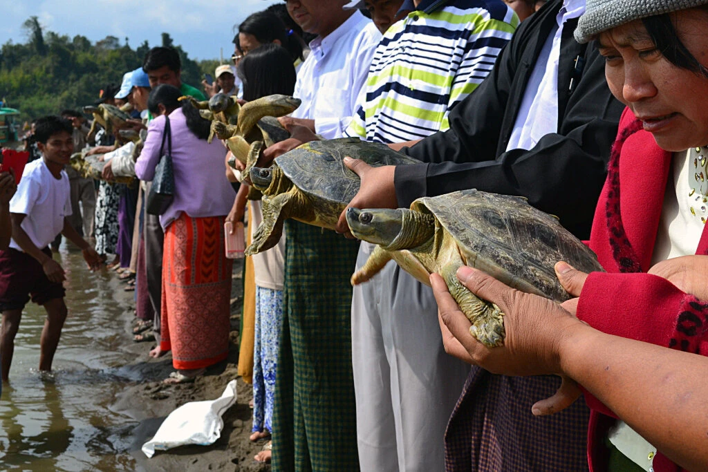 Villagers holding turtles